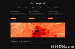 LinkDesign 專業網站設計服務，打造您的線上名片